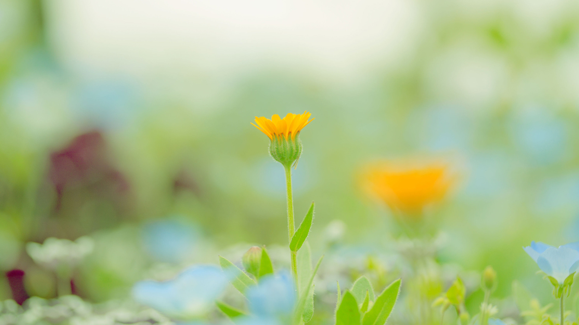 月光已經(jīng)流逝